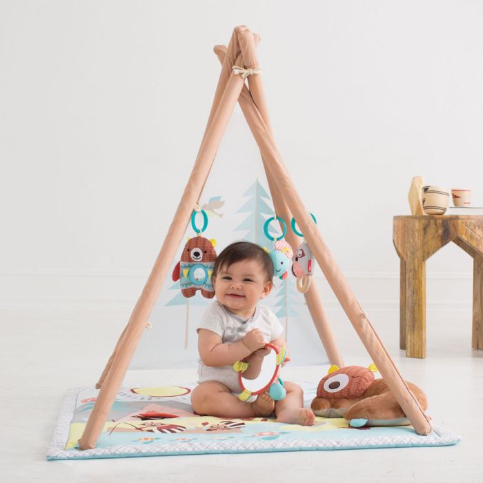 Babygym, Camping Cubs, Skip Hop