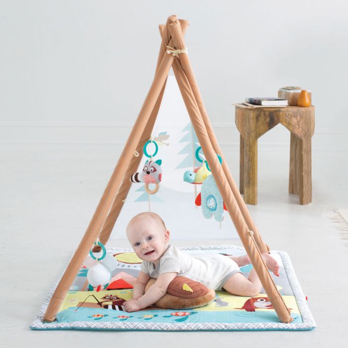 Babygym, Camping Cubs, Skip Hop