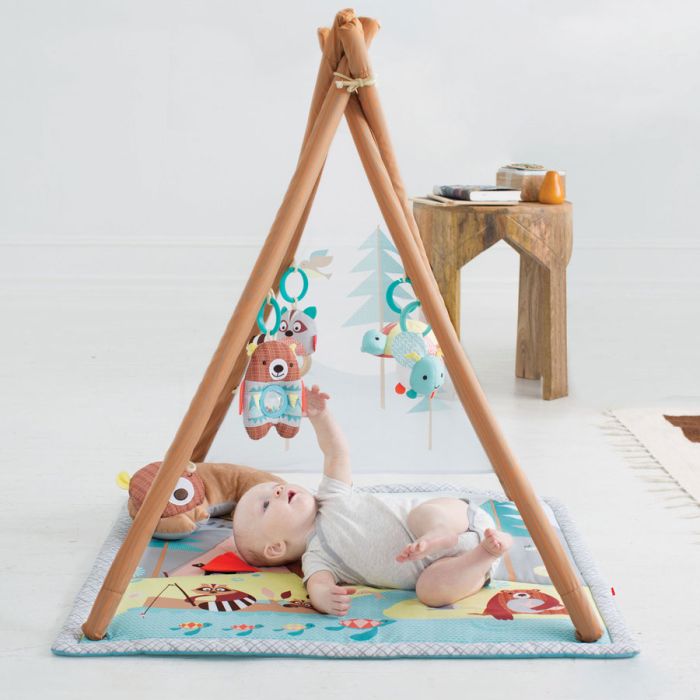 Babygym, Camping Cubs, Skip Hop