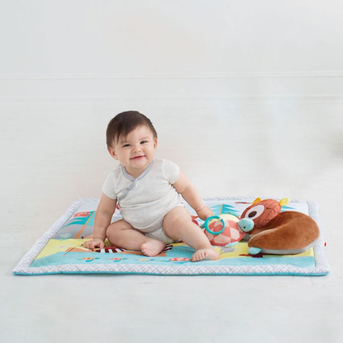 Babygym, Camping Cubs, Skip Hop