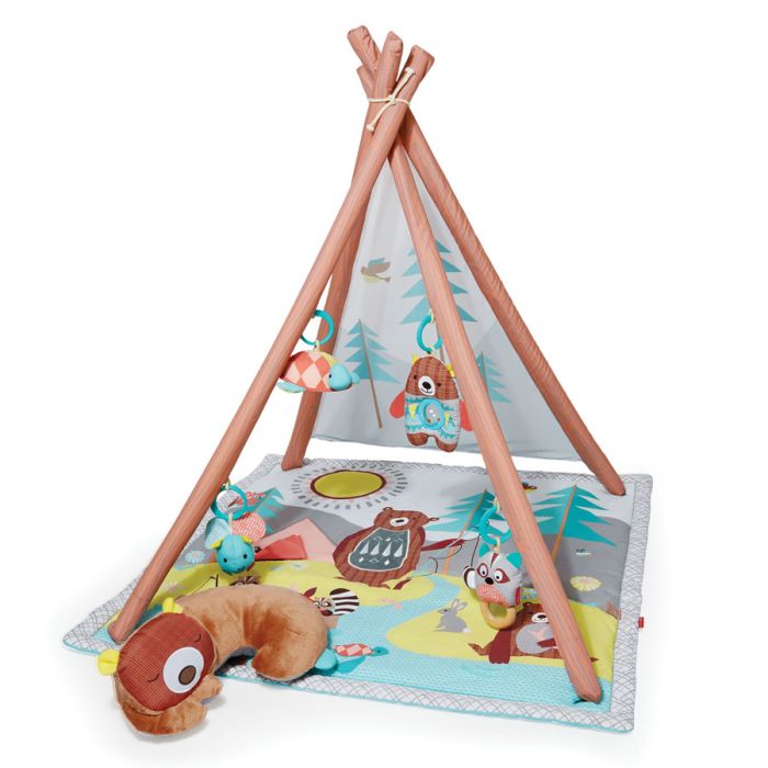Babygym, Camping Cubs, Skip Hop