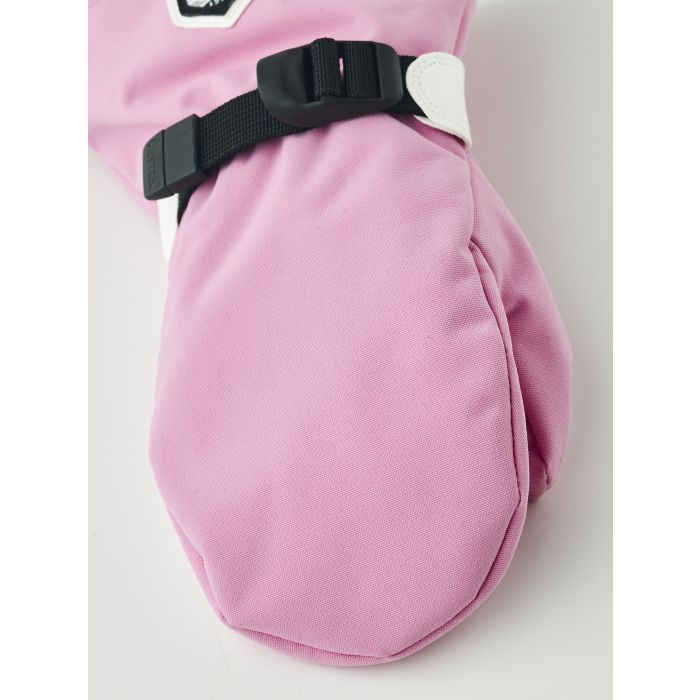 Fjellvotten Jr, Hestra, Cerise