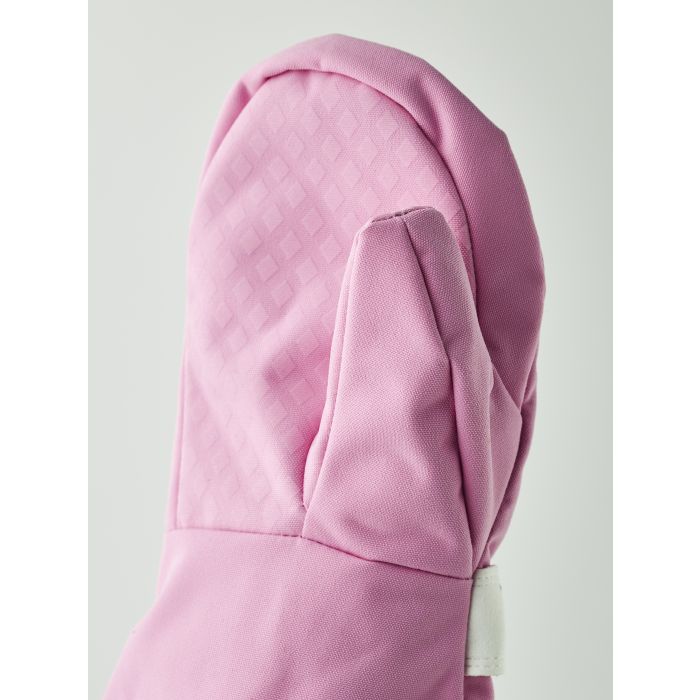 Fjellvotten Jr, Hestra, Cerise