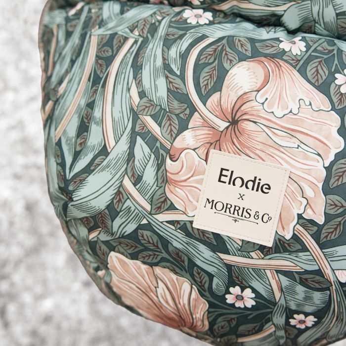 Elodie Vognpose, Pimpernel