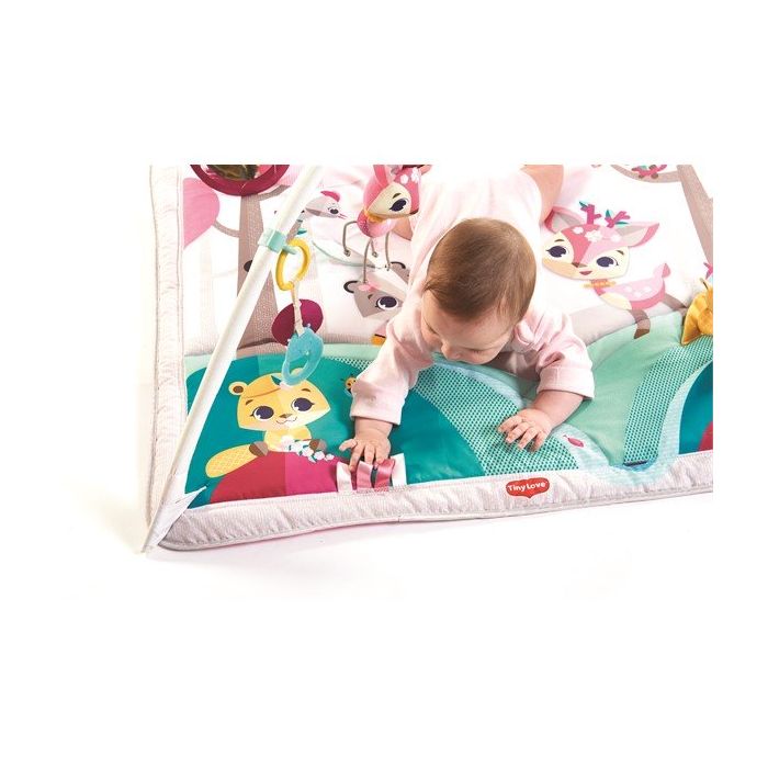 Babygym, Gymini, Princess tales, Tiny Love