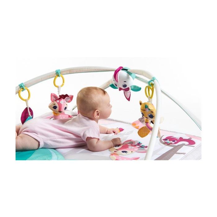 Babygym, Gymini, Princess tales, Tiny Love