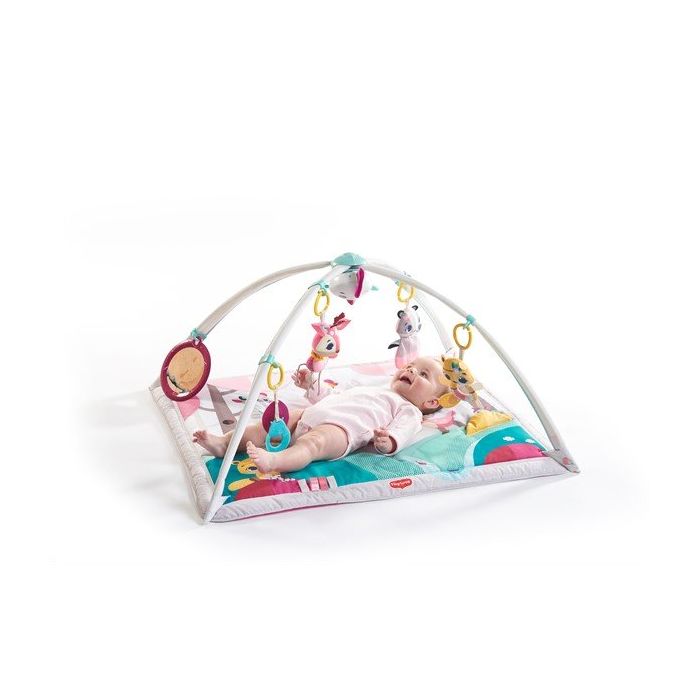 Babygym, Gymini, Princess tales, Tiny Love