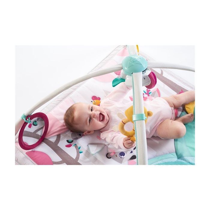 Babygym, Gymini, Princess tales, Tiny Love