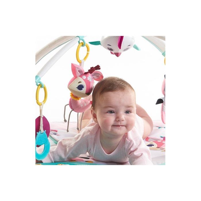Babygym, Gymini, Princess tales, Tiny Love