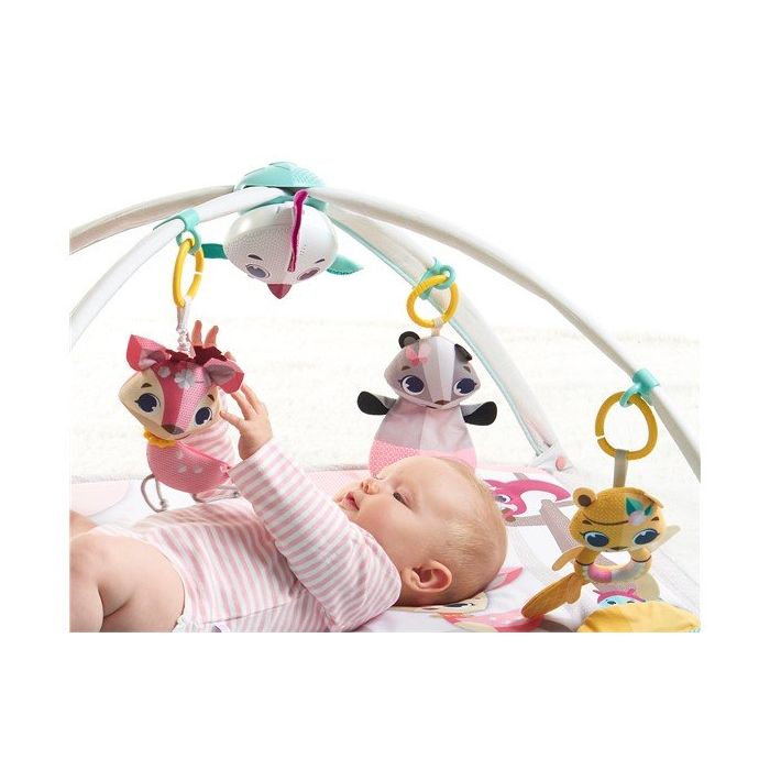 Babygym, Gymini, Princess tales, Tiny Love