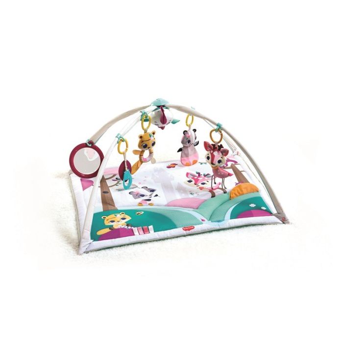 Babygym, Gymini, Princess tales, Tiny Love