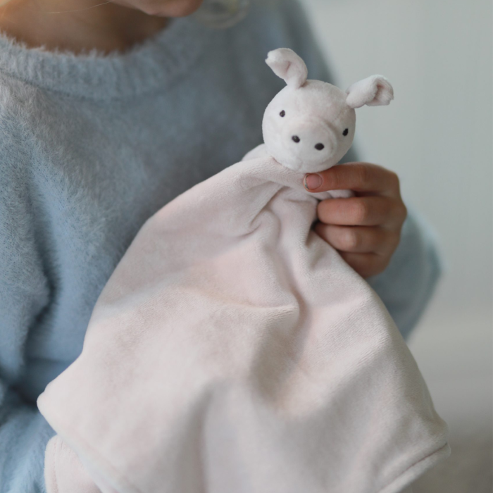 Rätt Start Kosefille, Lotta i Bråkemakergata