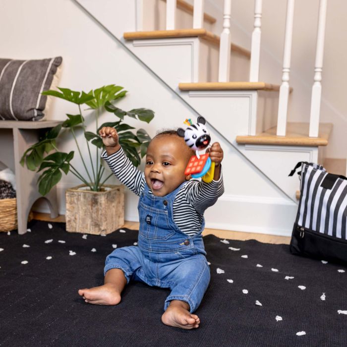 Baby Einstein Biteleke, Zebra