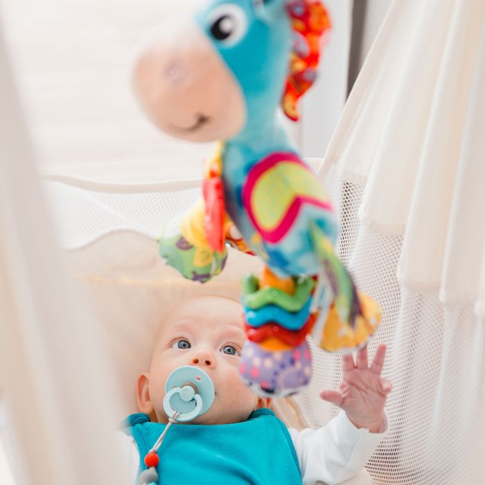 Playgro Activity Friend Clip Clop 0m+