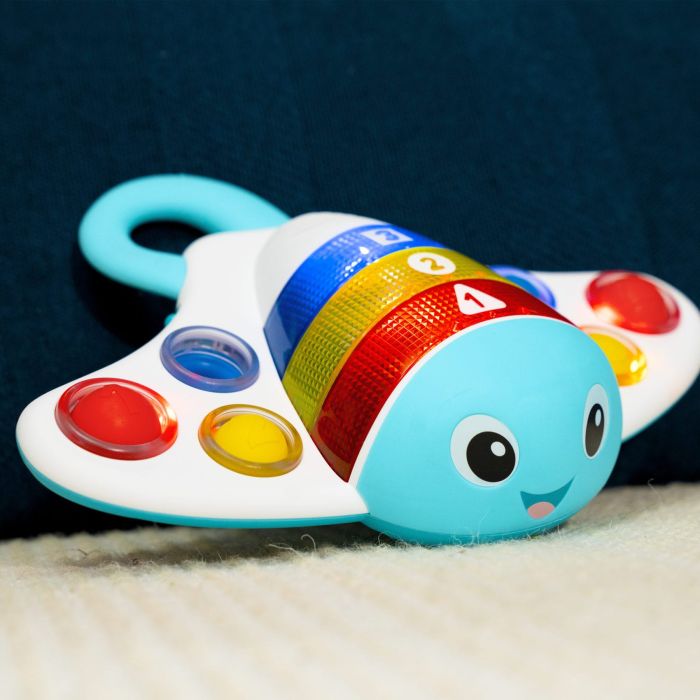 Dimple and Delight Stingray, Baby Einstein