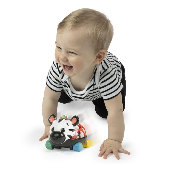 Lekebil, Baby Einstein, Zebra Zen Oball