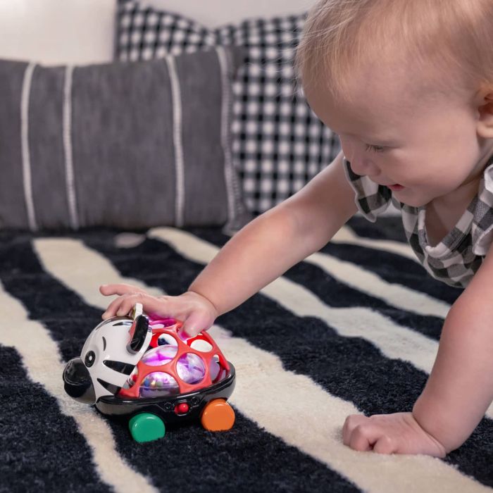Lekebil, Baby Einstein, Zebra Zen Oball
