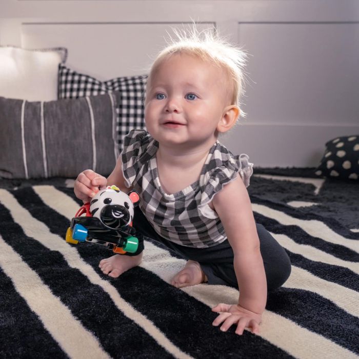Lekebil, Baby Einstein, Zebra Zen Oball