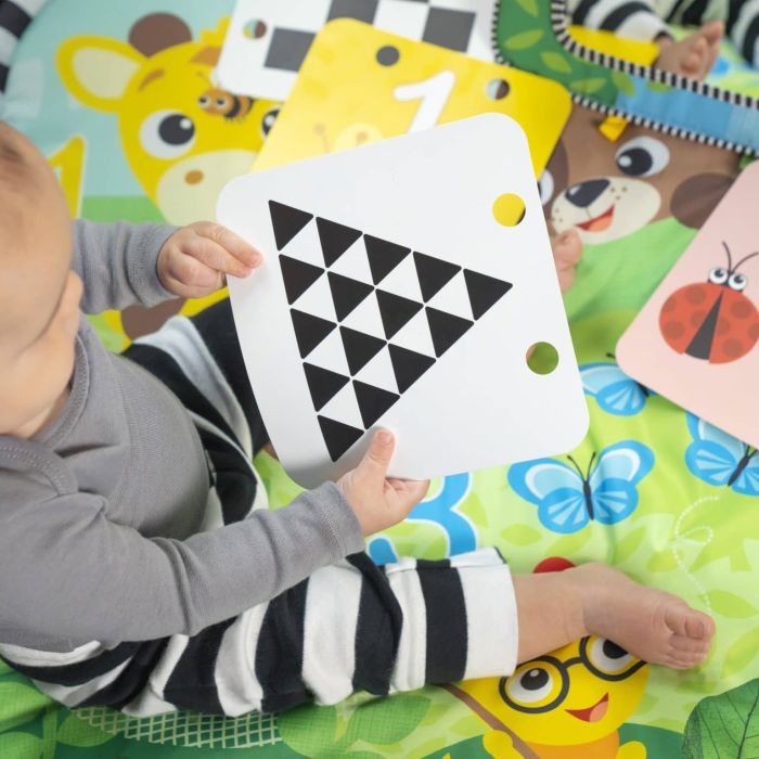 Lekematte, Baby Einstein