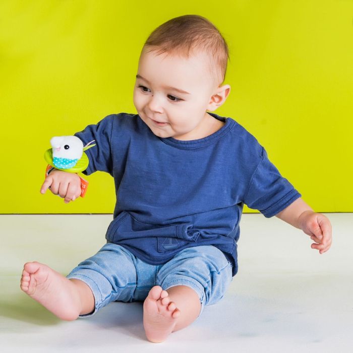 Snuggle & Teether, Brights Starts, Grønn