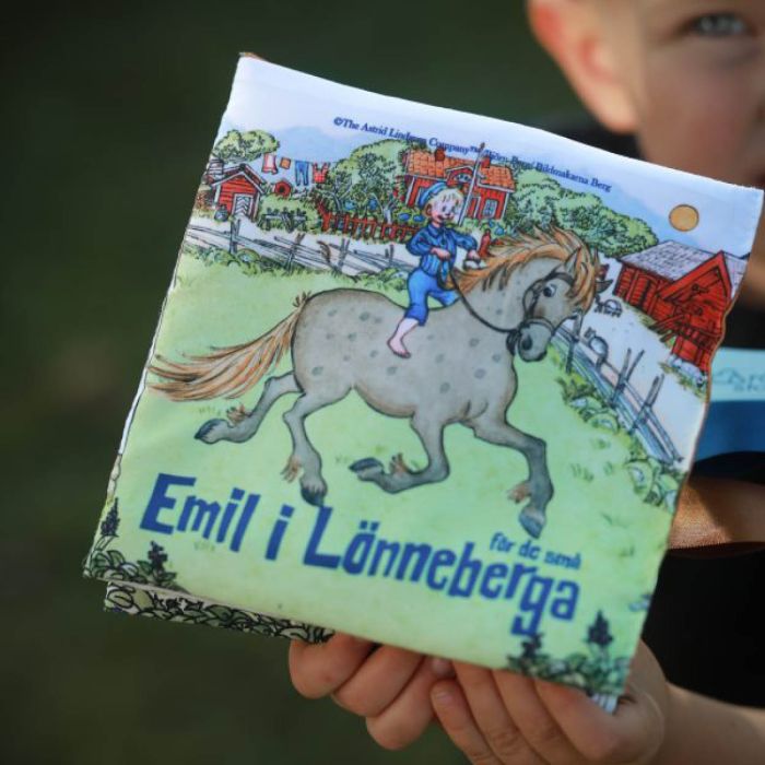 Bok, Rätt Start, Emil i Lønneberget