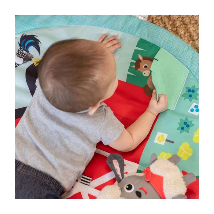 Baby Einstein Lekematte, Happy Harvest