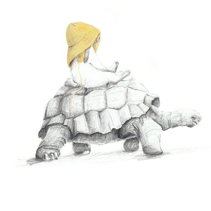 Poster, Tails, Skilpadda og kaninen, 30x40 cm