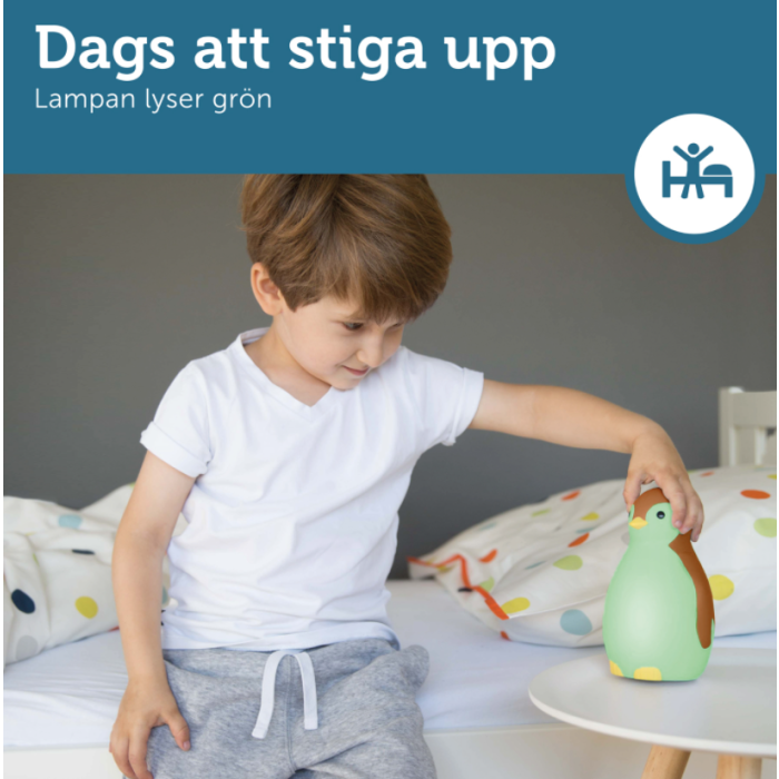 Nattlampe Og Søvntrener, Zazu, Pam Brun