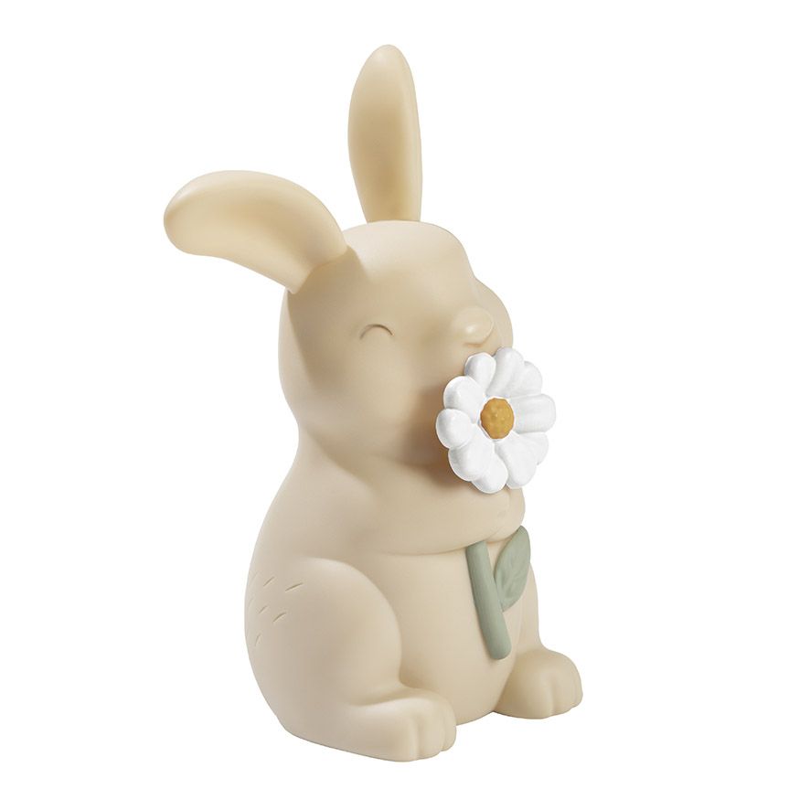 Nattlampe, Little Dutch, Kanin