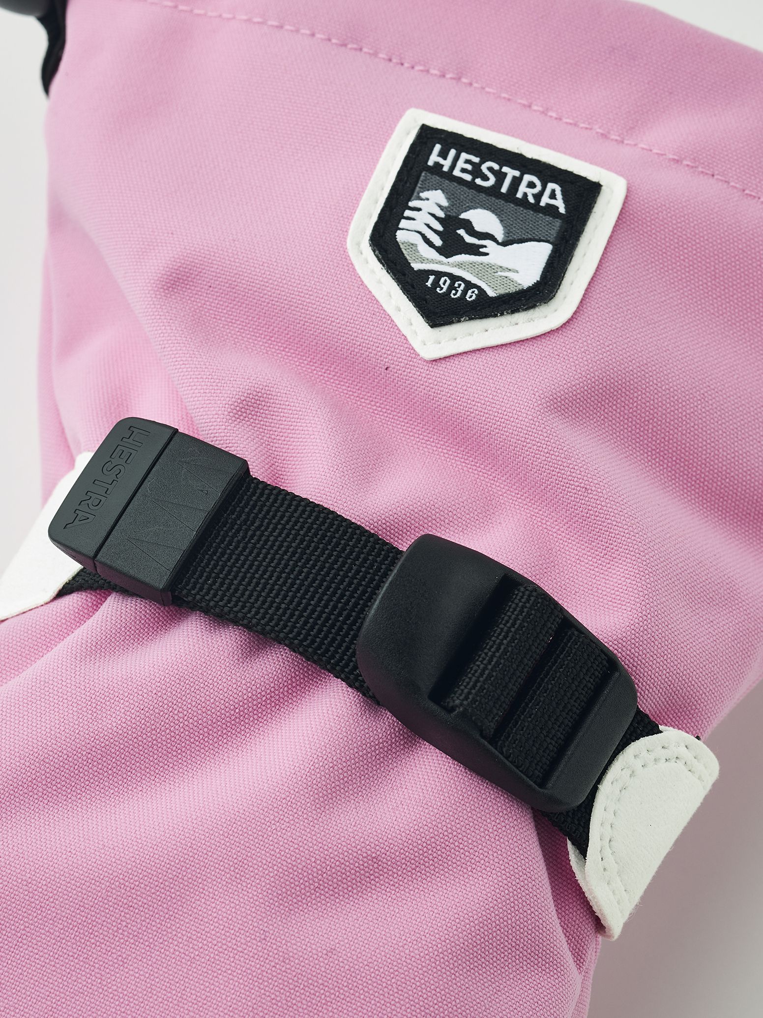 Fjellvotten Jr, Hestra, Cerise