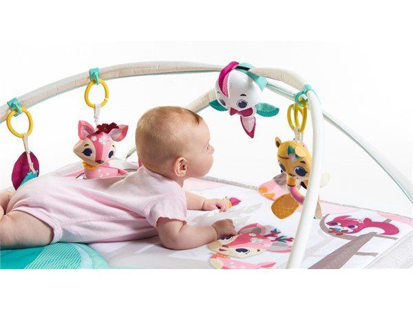 Babygym, Gymini, Princess tales, Tiny Love