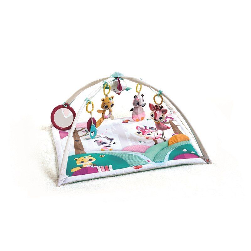 Babygym, Gymini, Princess tales, Tiny Love
