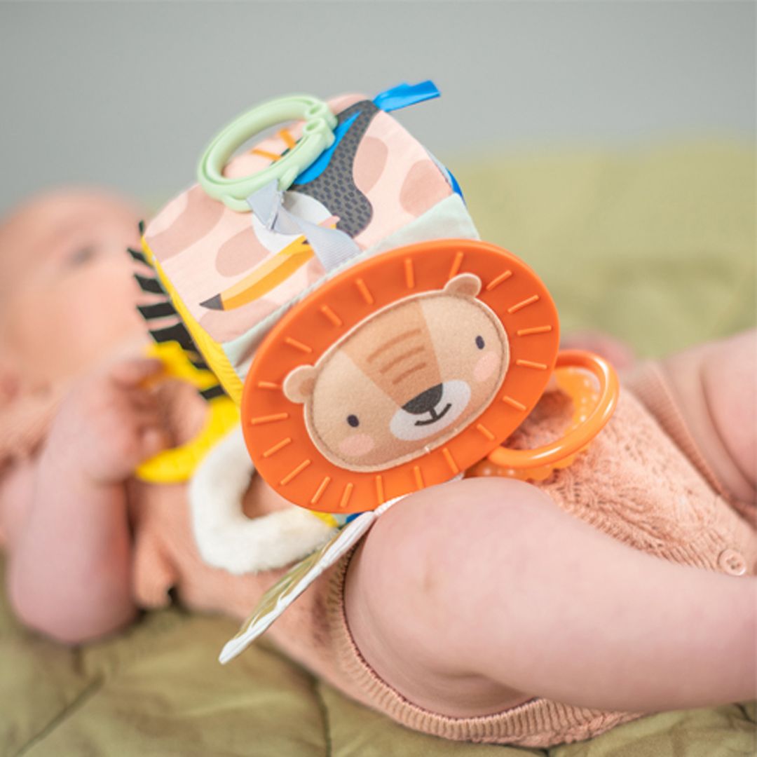 Aktivitetsleke, TAF Toys, Discovery Cube