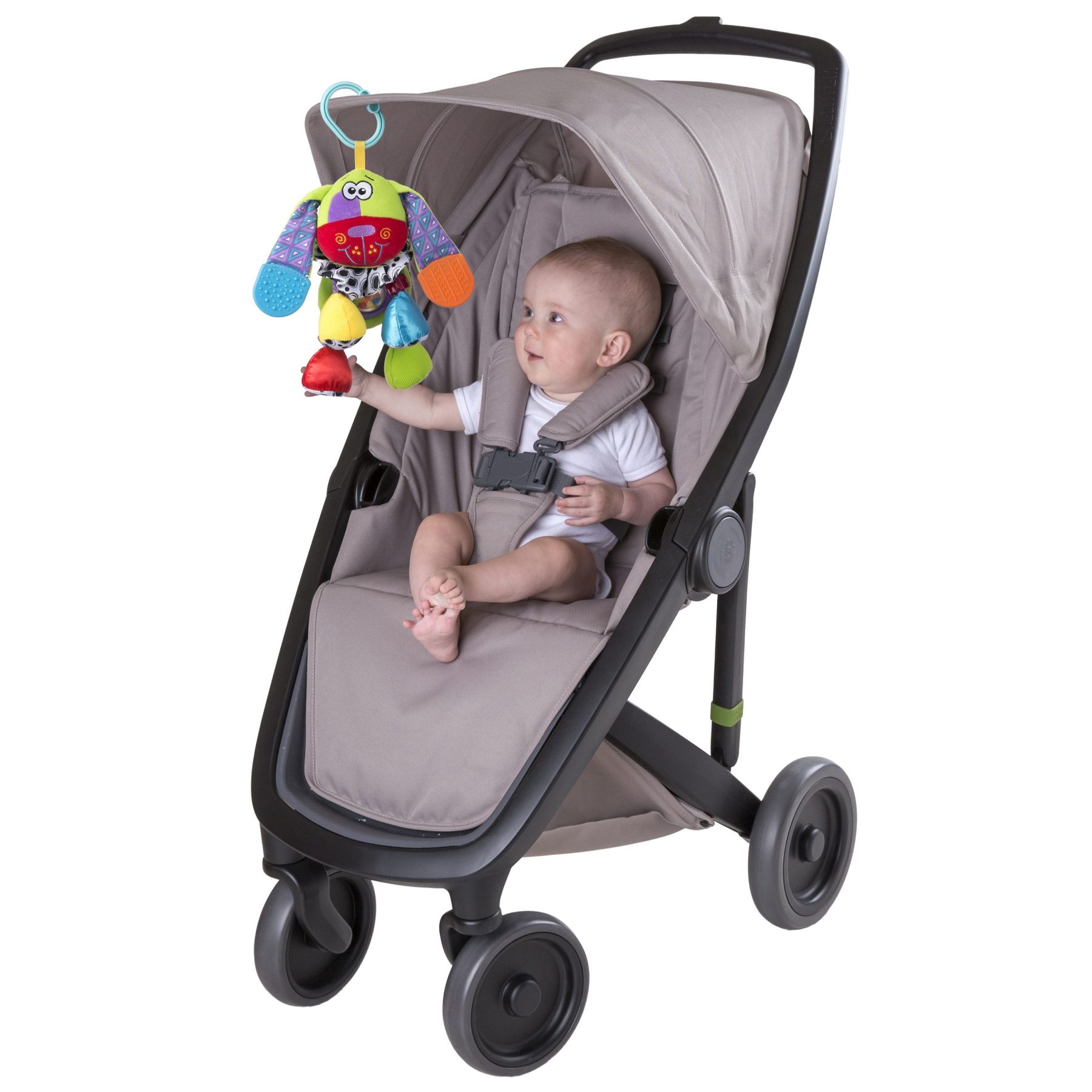 Playgro Vognleke Doofy Dog 0mnd+