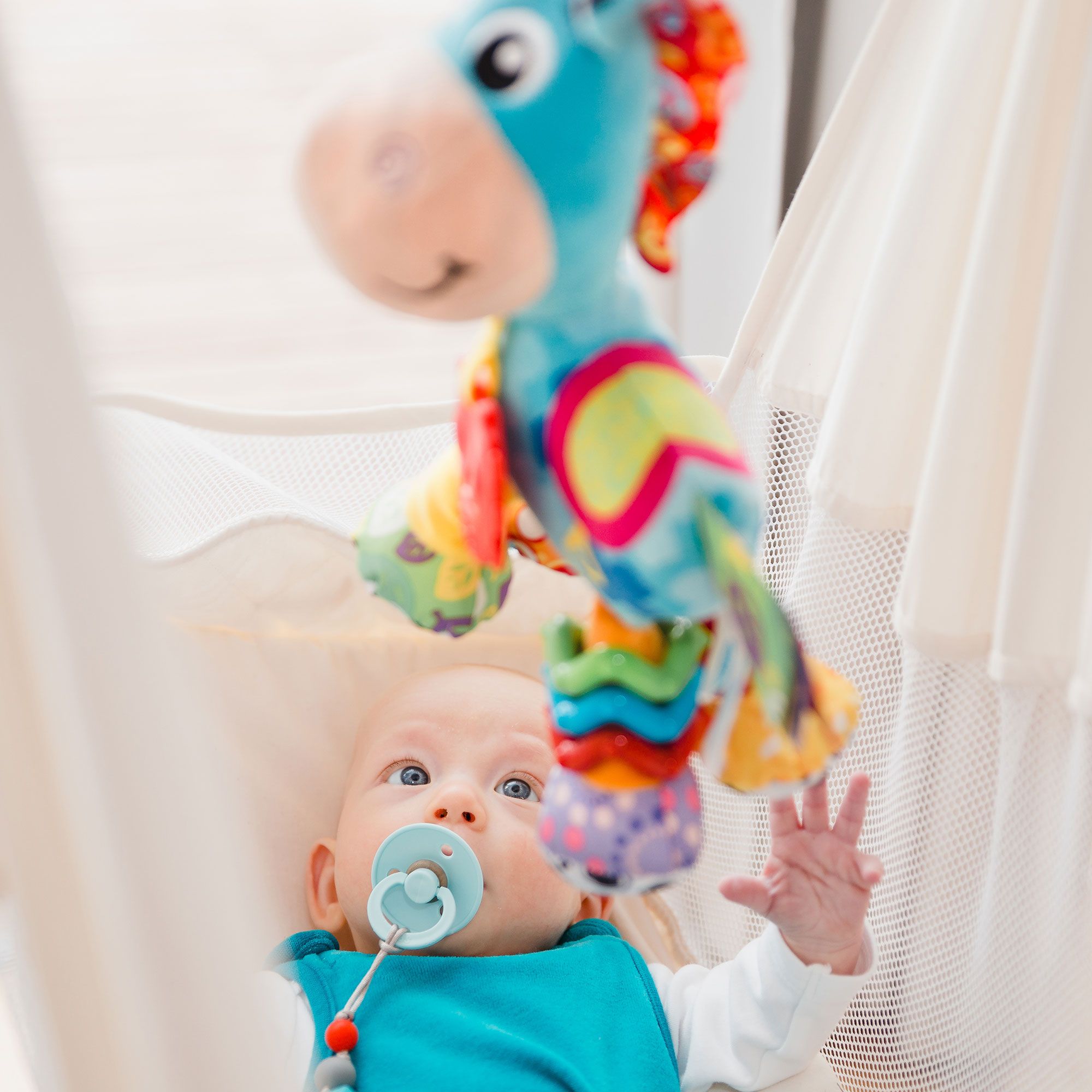 Playgro Activity Friend Clip Clop 0m+