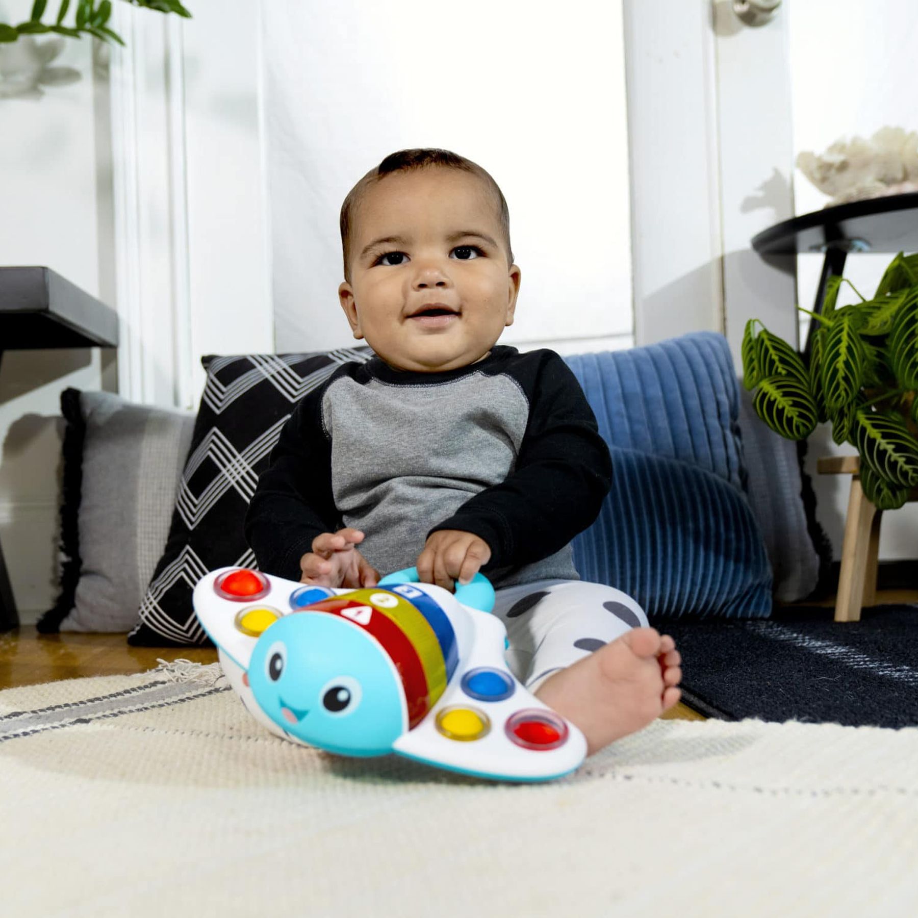 Dimple and Delight Stingray, Baby Einstein