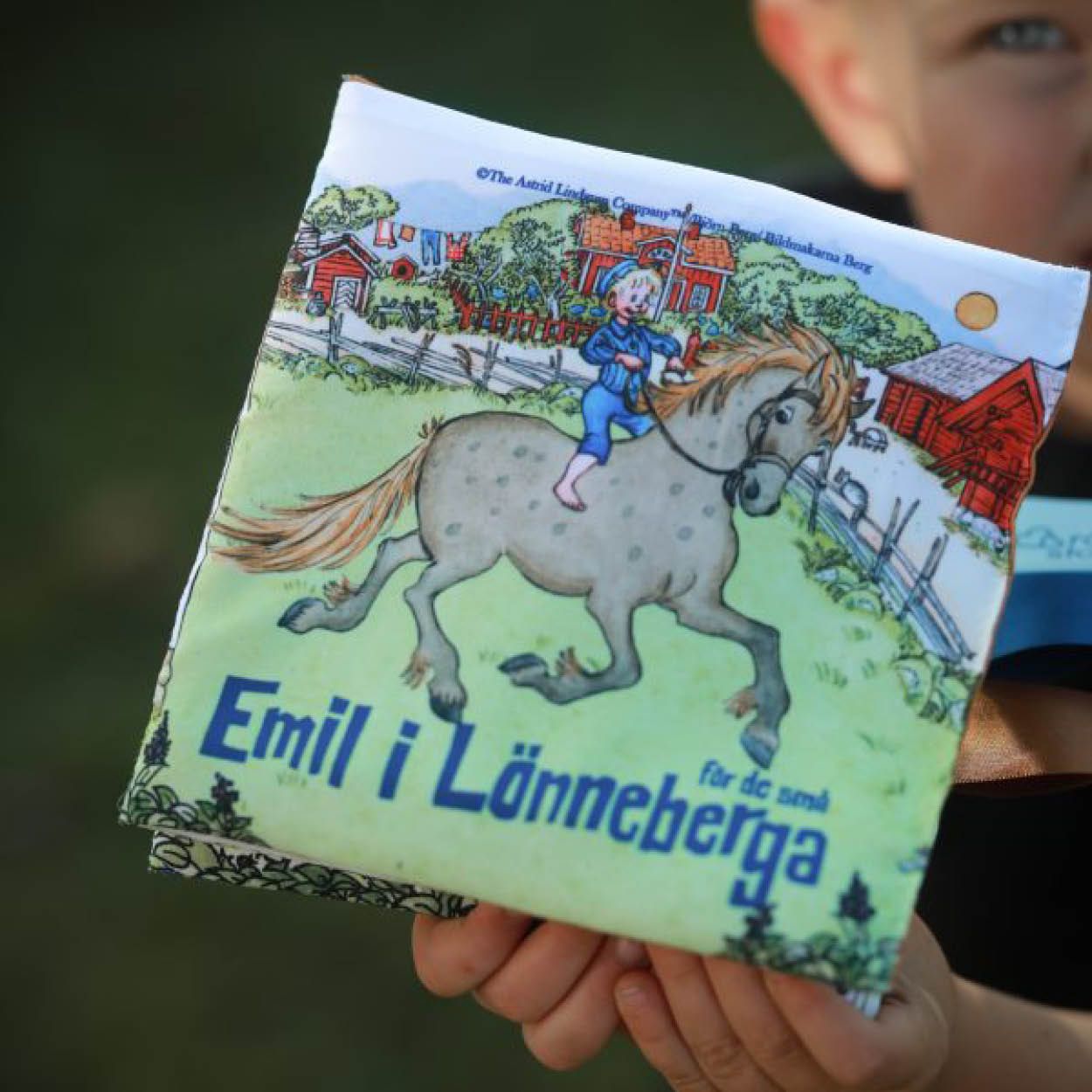 Bok, Rätt Start, Emil i Lønneberget