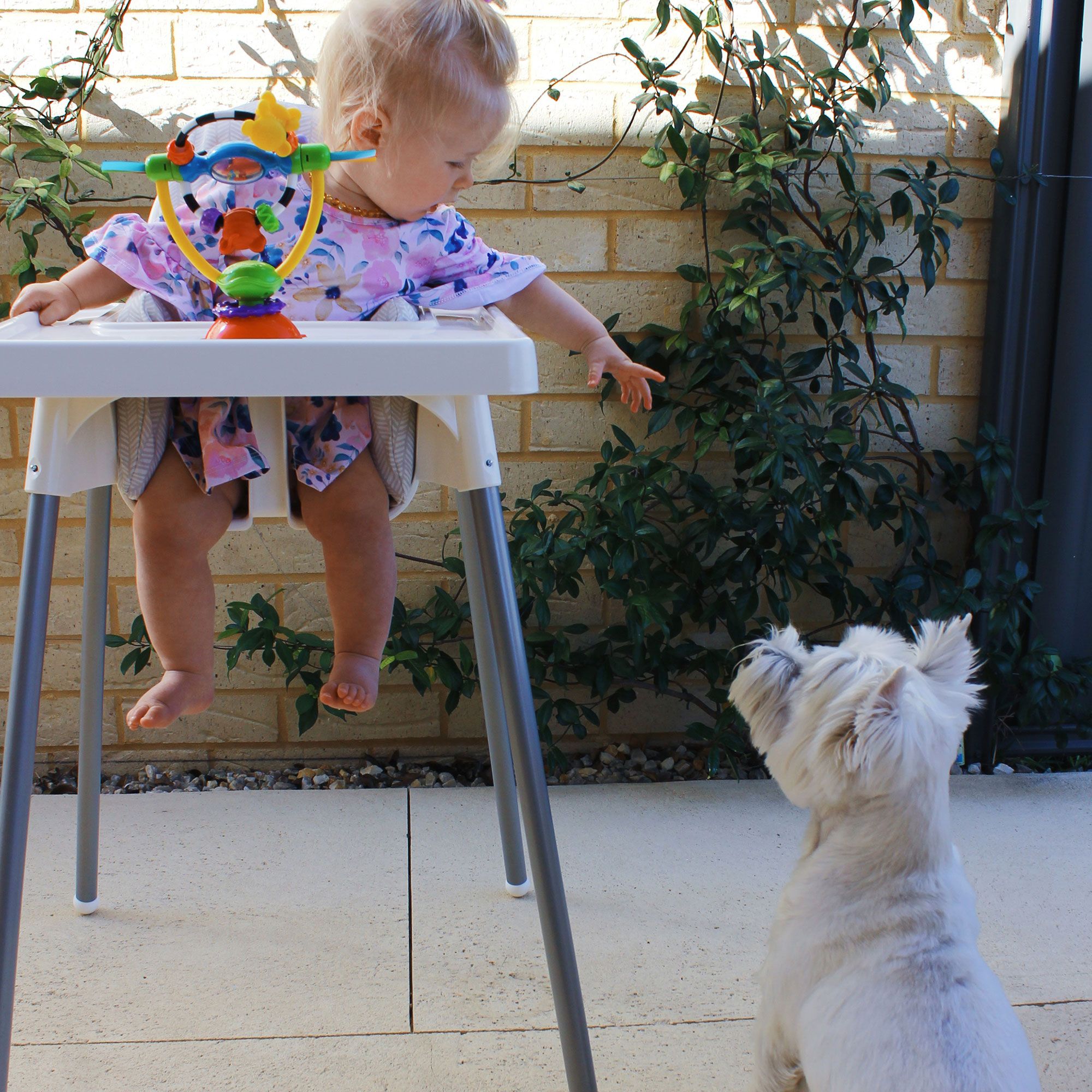 Playgro High Chair Spinning Toy 6m+