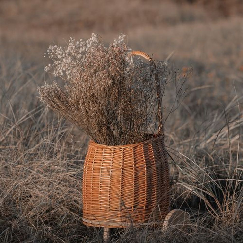 Shopper, Huttelihut