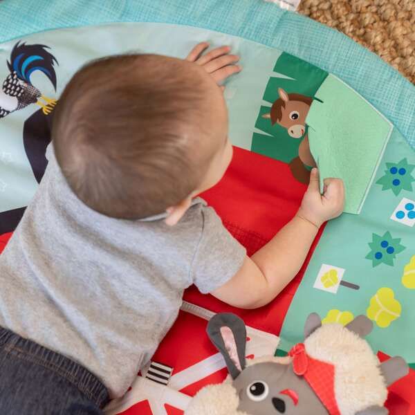 Baby Einstein Lekematte, Happy Harvest
