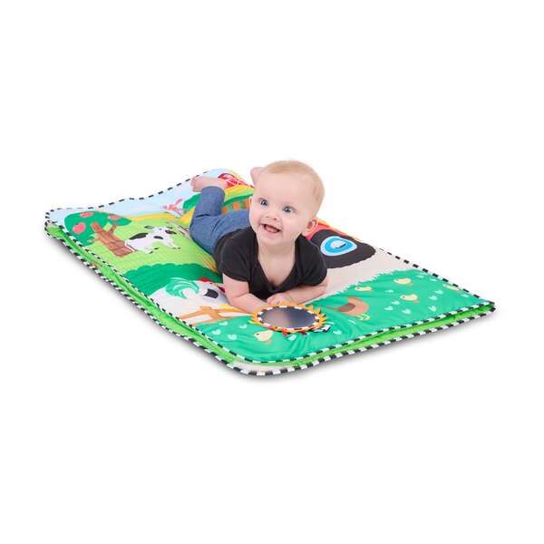 Baby Einstein Lekematte, Busy Barnyard