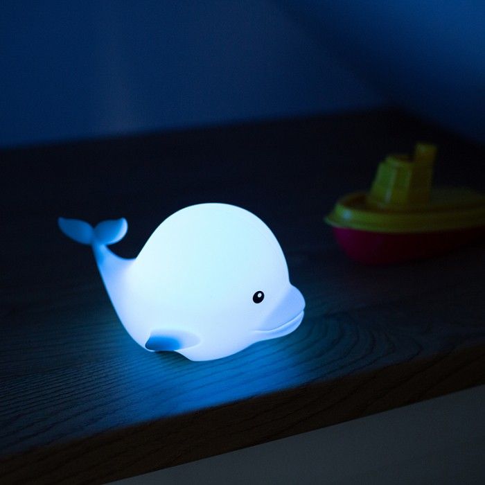 Nattlampe, Marys, Dolphin