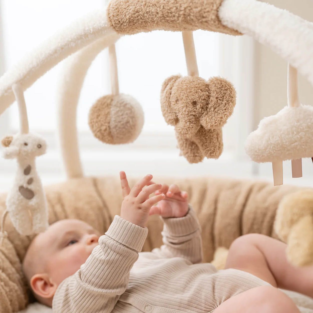 Nattou, Teddy, Babygym, Rund