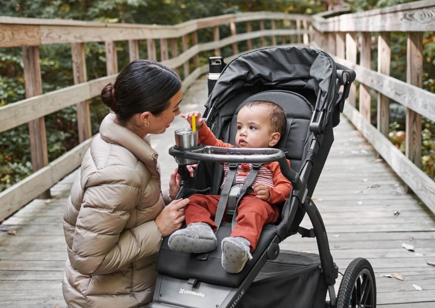 Snack Tray, UPPAbaby, Ridge