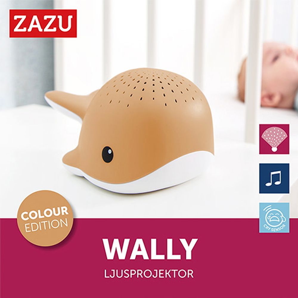 Prosjektor, Zazu, Wally Camel