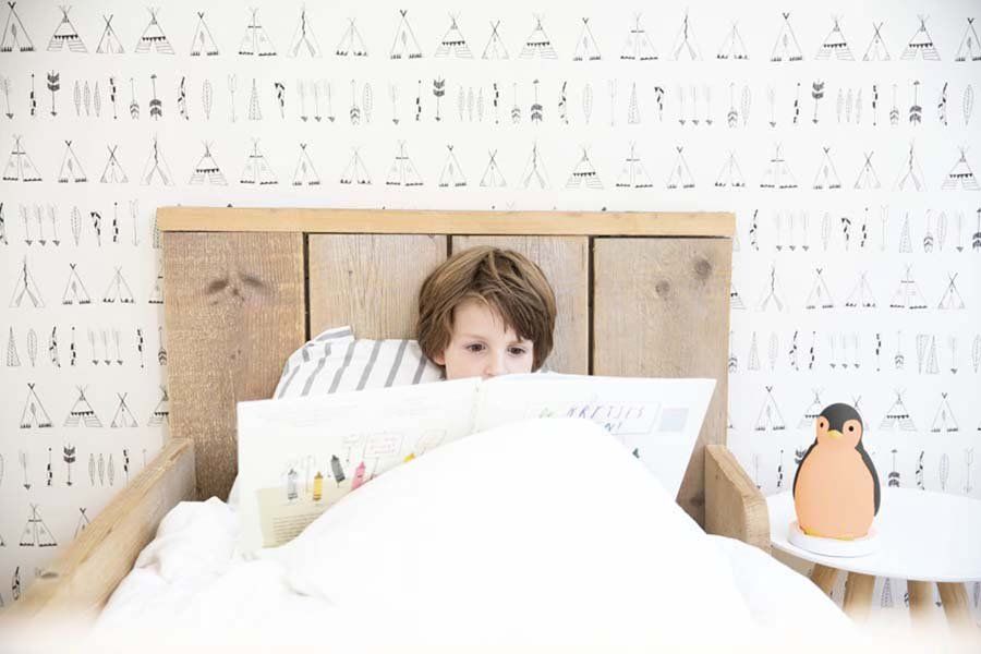 Nattlampe Og Søvntrener, Zazu , Pam Blå