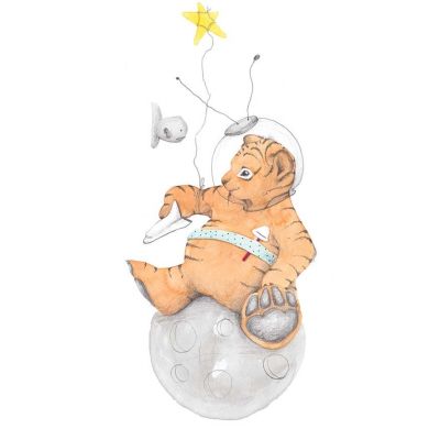 Poster, Tigeren på månen, Tails, 21x30 cm