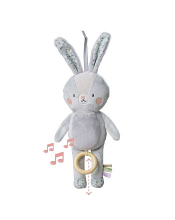 Music Bunny, TAF Toys, Rylee