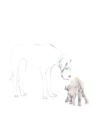 Kort, Tails, Elefanten og hunden,15x15 cm